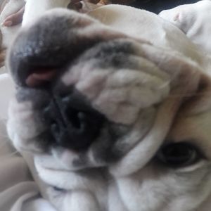 Meet your Posher, Tony